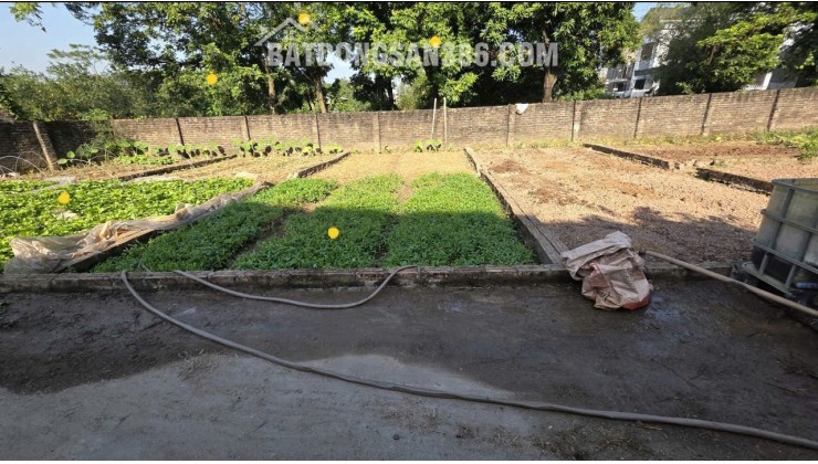  chỉ 2.x tỷ -TRUNG TÂM KIM BÀI – Ô TÔ VÀO TẬN ĐẤT – GẦN VINHOMES OLYMPIC0977690119  Lô